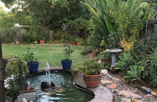 Encinitas Cottage | Encinitas Cottage Retreat/New Winter Rate! Walk to Swami's.
