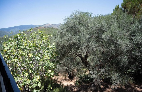 Artemisia House | Endless Green: Tranquil Mountain Retreat with Breathtaking Views