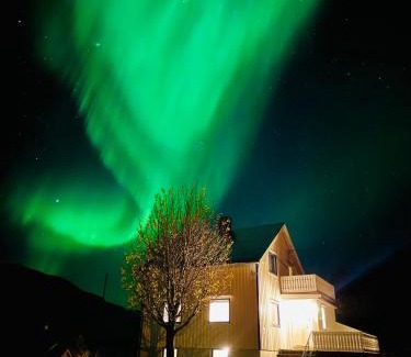 Sund i Lofoten Villa | Enebolig med Eventyrlig beliggenhet like ved sjøen i Lofoten