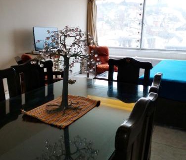 Centro Apartment | Energías del Nahuel