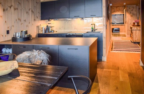 Atra Apartment | Enjoy a relaxing mountain hiking vacation in the nature paradise, Gaustablikk