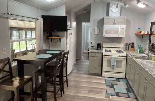 Salt Springs Cabin | Enjoy a view of Little Lake Kerr while sipping your coffee!