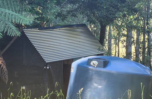 Kallista House | Enjoy elegant campervan comforts in the heart of an ancient fern forest
