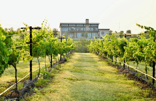 Washington Villa | Enjoy the tranquility of the surroundings in the comfort of your private villa.