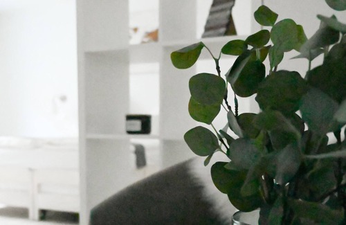 Lohmar Apartment | Enny Suite Apartment in the beautiful Rhineland