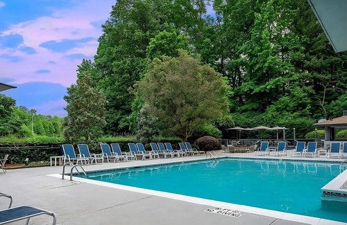 Executive Park Apartment | Ensuring a Very Comfortable & Memorable Stay! Pets Are Welcome, Parking, Pools!