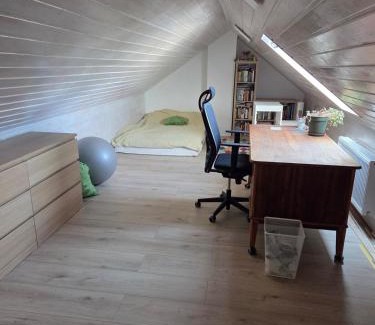 Sattledt Apartment | Entire apartment 10 min from train station