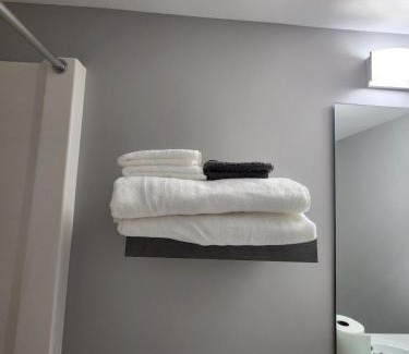 Winnipeg House | Entire basement suite in Bonavista