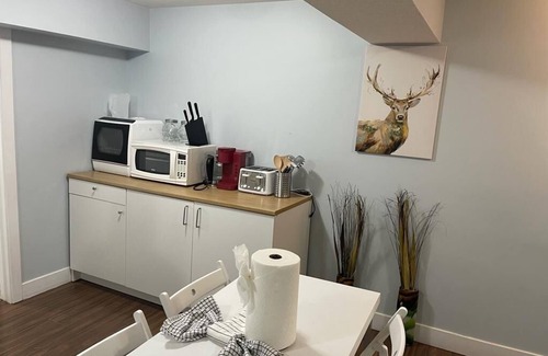 Northeast Edmonton House | Entire One bedroom basement suite+Laundry+Kitchen