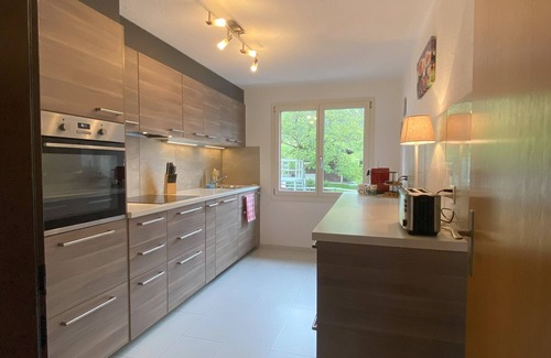 Hofstetten bei Brienz Apartment | Entspanntes Daheim für Sommer und Winter, Nähe Ballenberg, Perfekt für Familien
