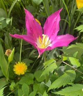 Macheta House | Era Vella