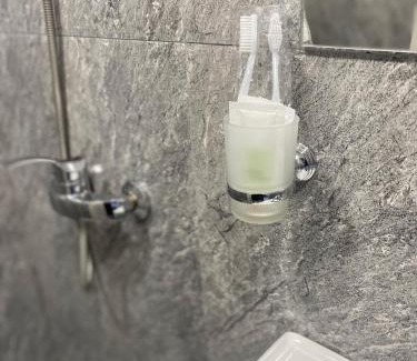 Parakar Apartment | Erevan palas Apartament