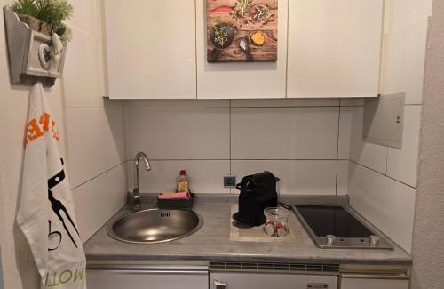 Bad Urach Apartment | Erholungs- Apartment am Kurpark & Therme Bad Urach