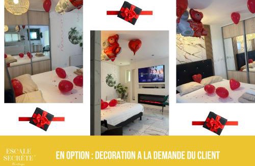 Montargis Apartment | Escale secrète Montargis Jacuzzi Terrasse Parking gratuit