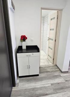 Viseu de Sus Apartment | Escape Residence