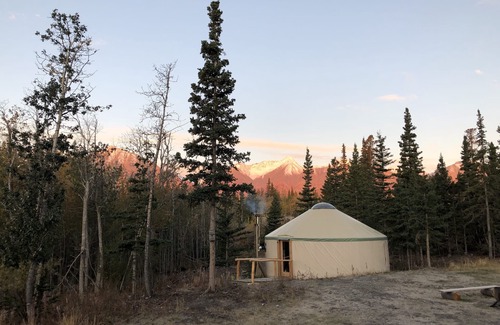 Haines Junction Cabin | Escape the ordinary with a stay in our charming yurt