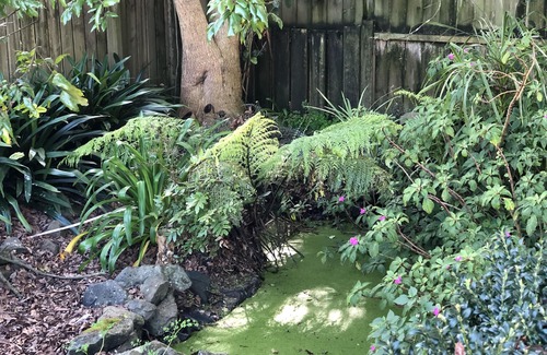 Kumeu House | Escape to Riverhead!