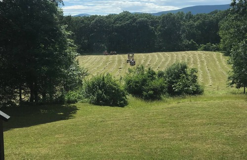 Saugerties Cottage | Escape to the Country! Lovely, Serene Cottage on 12 Acres.
