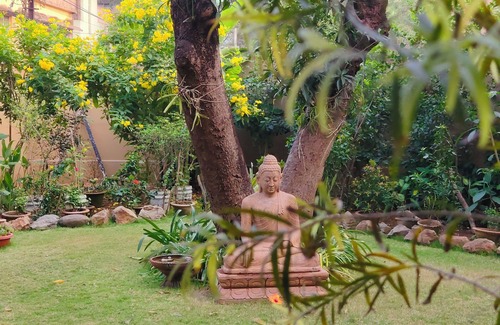 Sambalpur Apartment | Escape to this charming apartment with a touch of nature in centre of town.