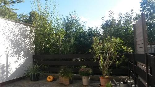 Ludwigshafen-Friesenheim Apartment | Eulennest-lu
