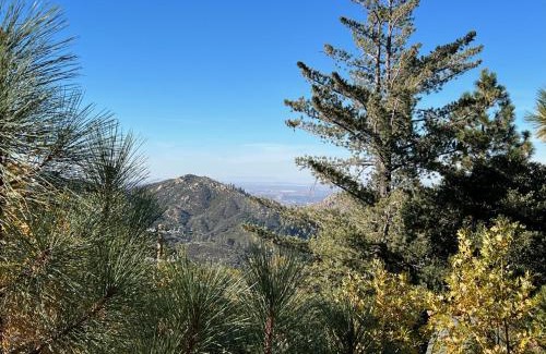 Lake Arrowhead House | EV level 2, Pets Welcome at Sunset Ridge