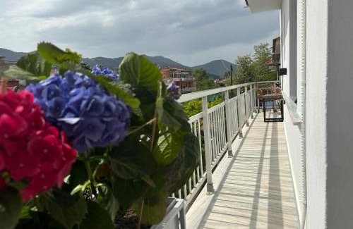 Thasos Town Apartment | EvA OMMM