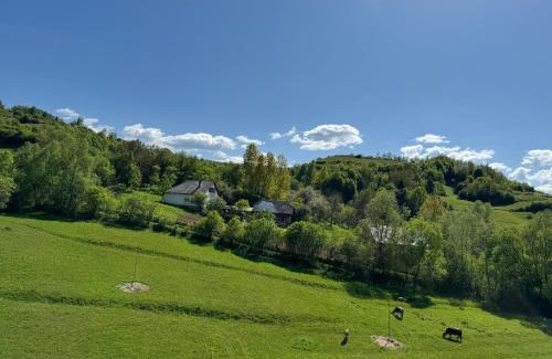 Bogdan Voda House | Evenimente Edelweiss