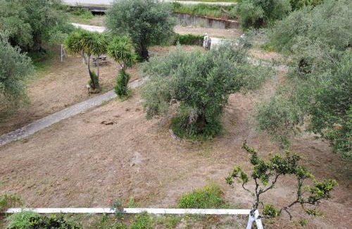 Messonghi Apartment | Evridiki Apartments