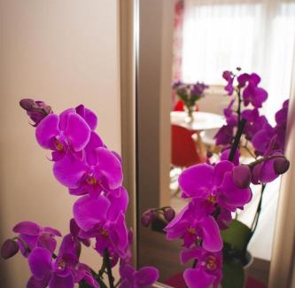 Mieroszyno House | Ewa Pokoje Goscinne