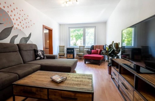 Martin Apartment | Excellent Large Lux Apartment Central Martin