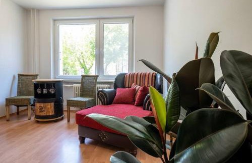 Martin Apartment | Excellent Large Lux Apartment Central Martin