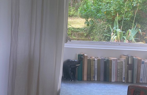 Champtoceaux House | Exceptional location, charming house on the banks of the Loire.