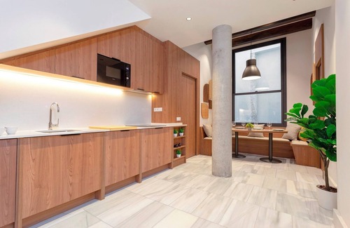 San Lorenzo Apartment | Exclusive Apartment in Seville. San Vicente I