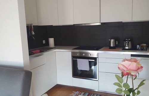 Lugano Apartment | Executive Huge Flat in Central Lugano