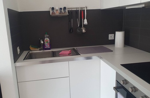 Lugano Apartment | Executive Huge Flat in Central Lugano