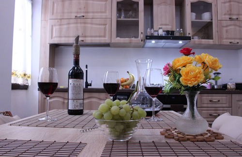 Timisoara House | Executive Luxury Living Apartments(ELLA) in the Heart of Timisoara