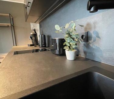 Delitzsch Apartment | Exklusives Wohnen im historischen Wasserturm dem Highlight von Delitzsch WE 212