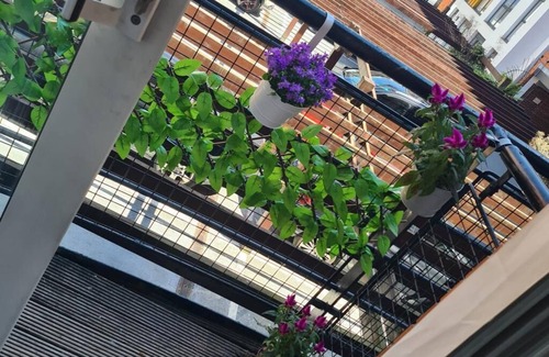 Convention Quarter Apartment | Exotic Jacuzzi Apartment With Balcony & Parking