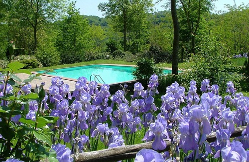 Proceno Apartment | Experience a breathtaking vacation in a castle, restaurant,stunning views