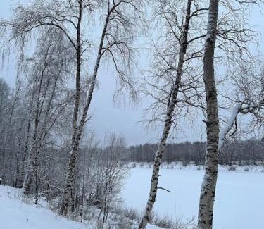 Inari Ski Chalet | Experience amazing Ivalo 4,5km from the AirPort