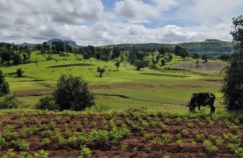 Nashik Cottage | Experience remote stone cottage part of farm stay by the lake amidst raw nature.