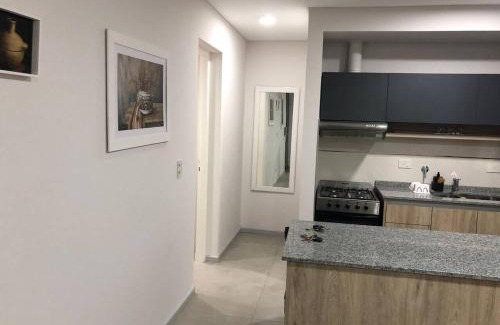 Godoy Cruz Apartment | Experiencia Mendoza! Bodegas y Montañas!