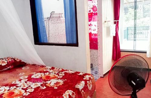 Bukit Lawang House | Explore Sumatra's WONDERS for deposit payment trekking