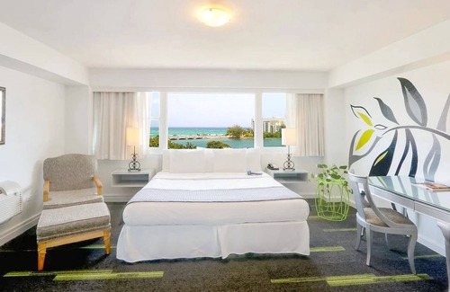 Miramar Hotel | Explore the Best of San Juan from a Comfortable Space Near Lagoon