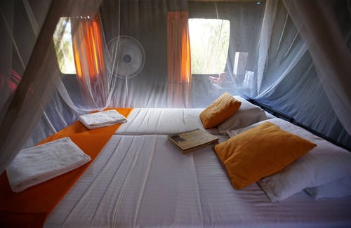 Wilgamuwa Other | Explorer by Eco Team - Wasgamuwa National Park