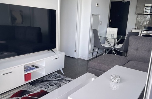 Liberty Village Condo | Exquisite Condo with Stunning Views in Downtown
