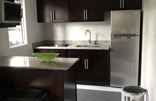 New Kingston Apartment | Exquisite, recently renovated studio apartment