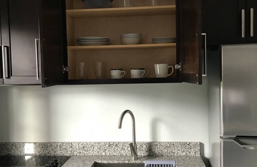 New Kingston Apartment | Exquisite, recently renovated studio apartment