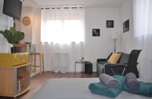 Mulhouse Apartment | F1 tout équipé proche Tram - Jungle