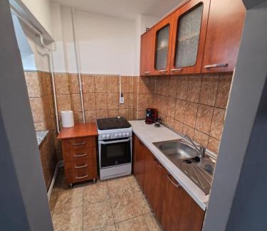 Falticeni Apartment | Fabian home central